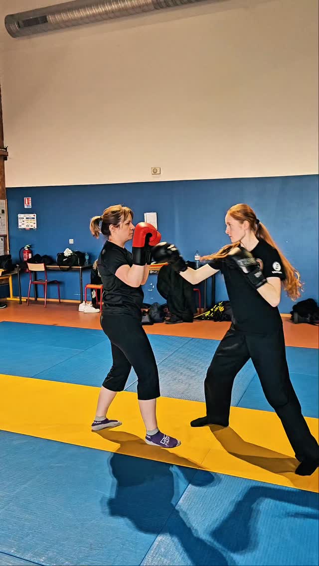 Vidéo entraînement SDU